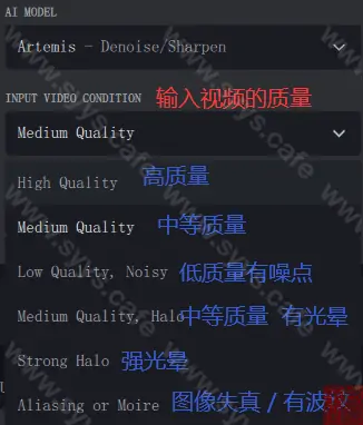 图片[8] - Topaz Video AI - 软件资源 - 岁有余生