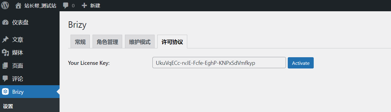 Brizy Pro 激活说明