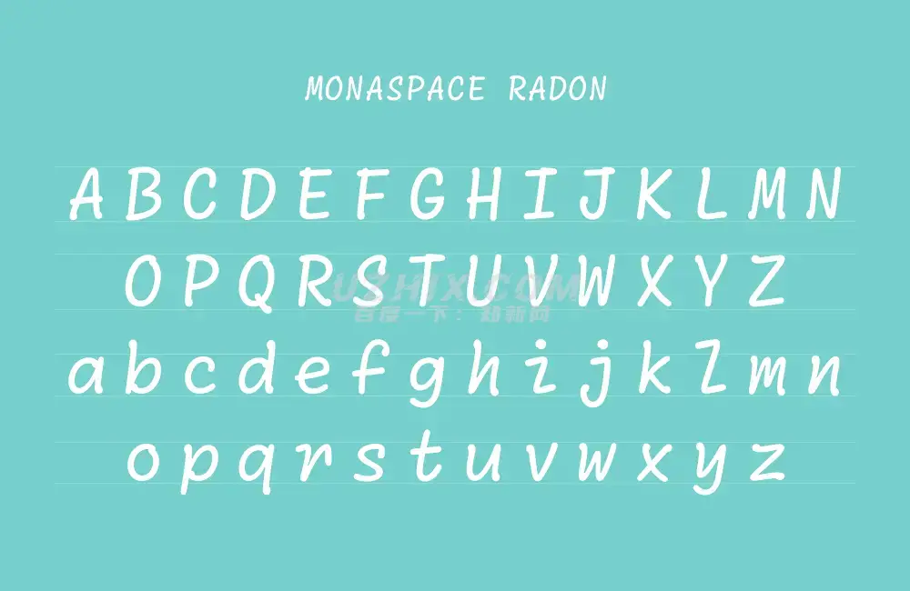2023121910492999.jpg Monaspace